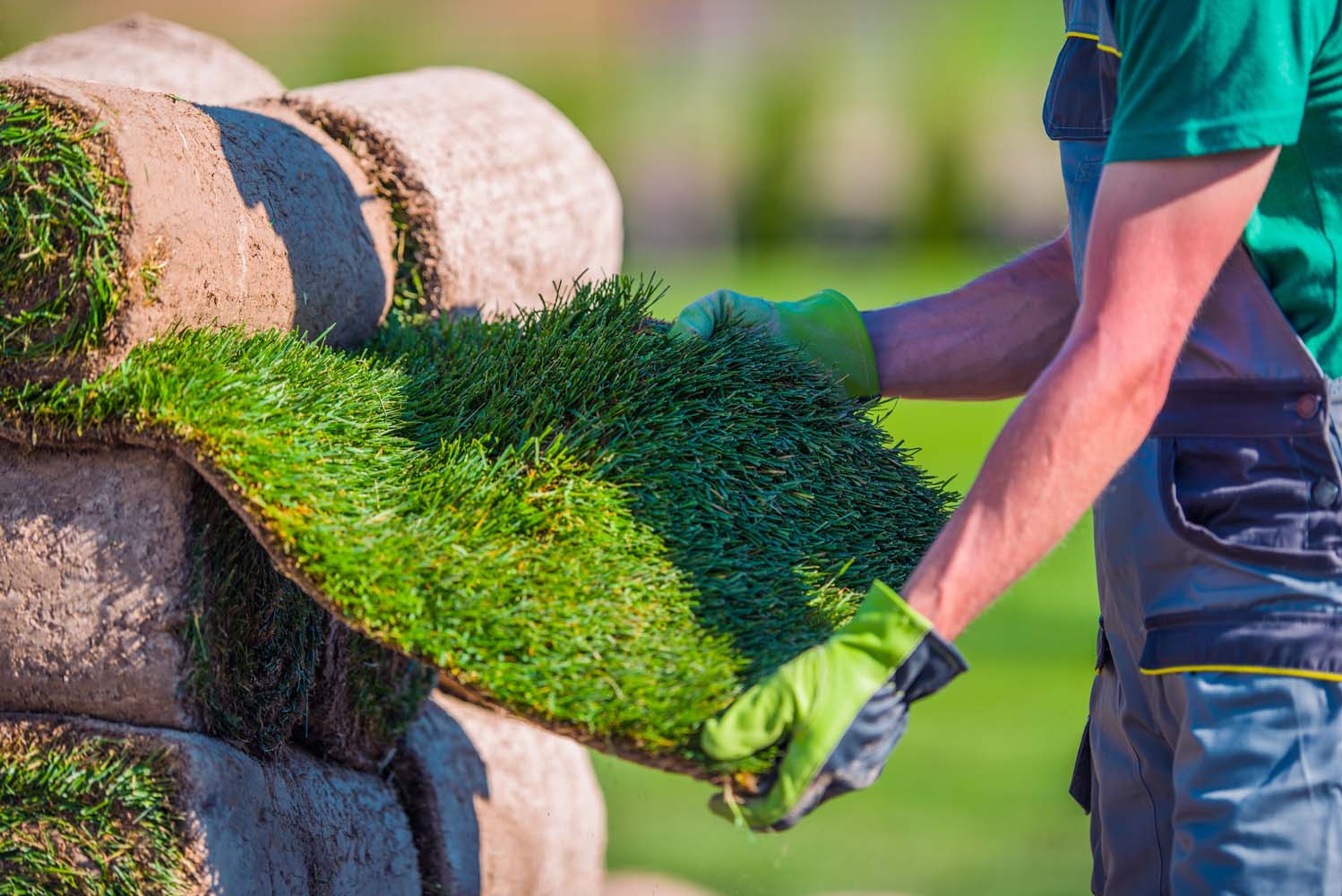 Sod installation