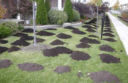 Sod installation